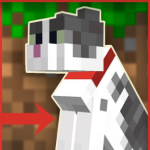 Jellie_Cat_Smile's Avatar