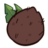 Coconut