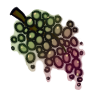 Fish Berries
