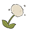 Puffweed