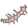 Ancient Spine Fossil